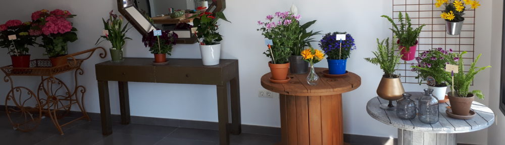 FlowerWorks Marbella